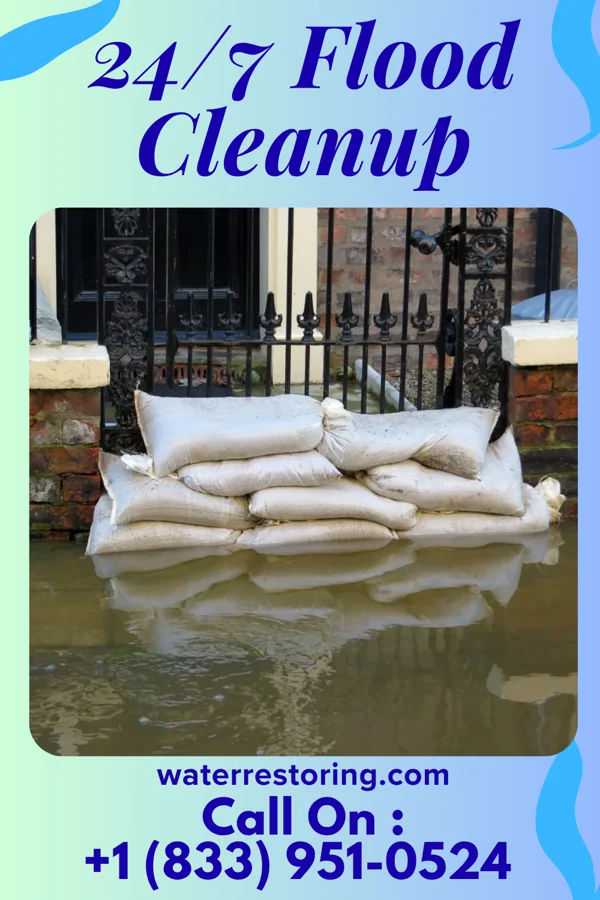 24/7 Flood Cleanup in Lealman, FL