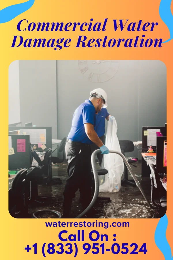 Commercial Water Damage Restoration in Lealman, FL