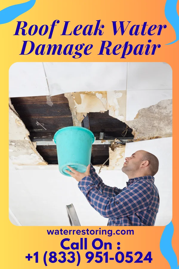 Roof Leak Water Damage Repair in Lealman, FL